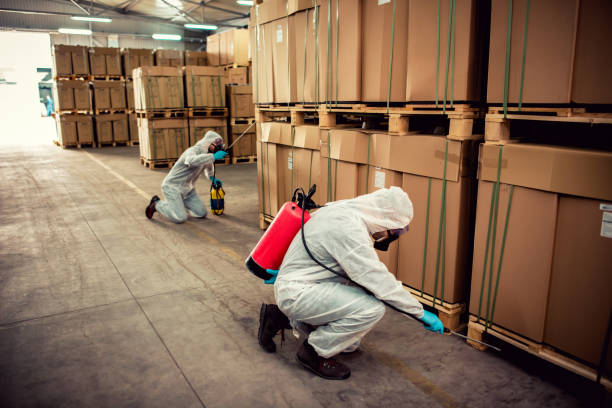 Best Best Pest Control Near Me  in St James, NC