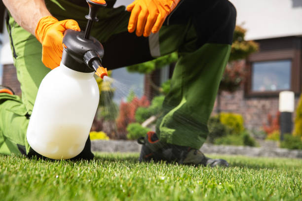 Best Best Pest Control Companies  in St James, NC
