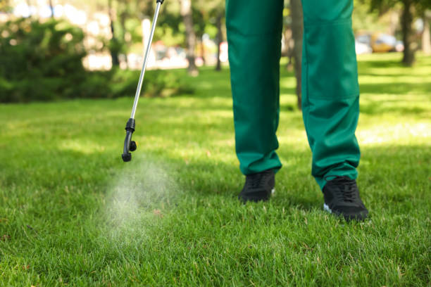 Best Rat Extermination Near Me  in St James, NC