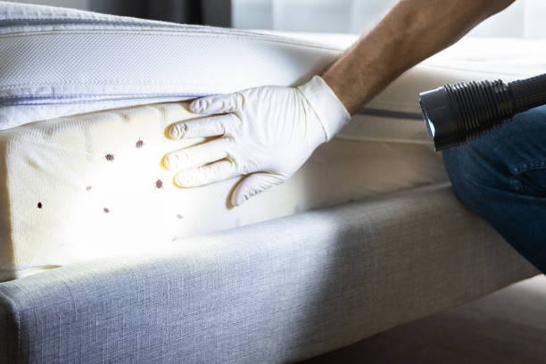 Best Pest Removal Services  in St James, NC