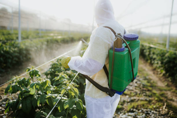 Best Wildlife Control Services  in St James, NC